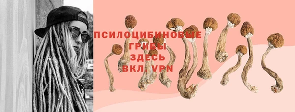 гашик Рославль