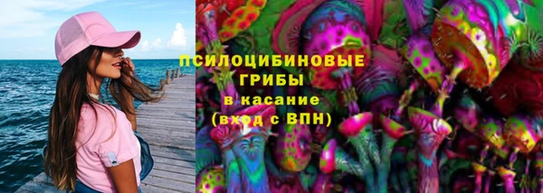 сатива Володарск