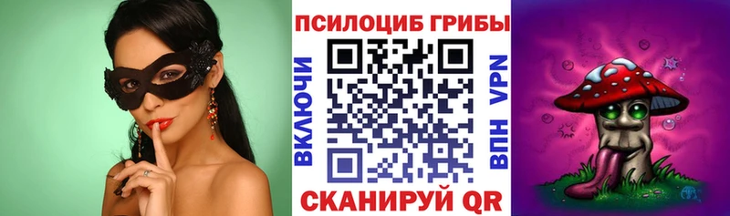 где найти наркотики  Волоколамск  Псилоцибиновые грибы Magic Shrooms 